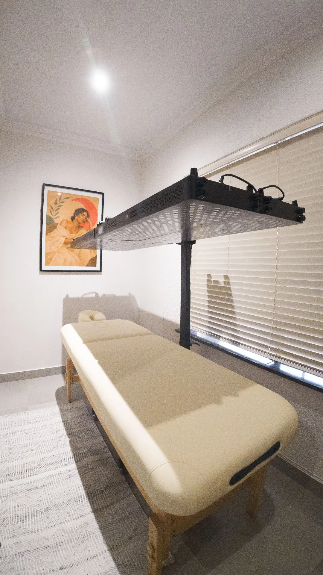 Professional red light near-infrared treatment bed and LED panel